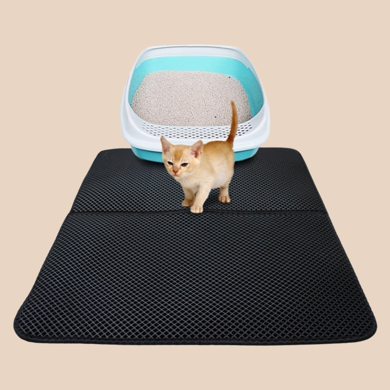 Say Goodbye to Cat Litter! (50% Off Today Only)